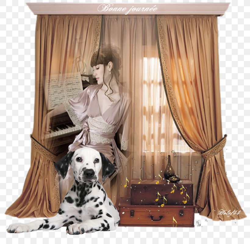 Curtain & Drape Rings Window Furniture Douchegordijn, PNG, 800x800px, Curtain, Blanket, Carnivoran, Curtain Drape Rings, Dog Download Free