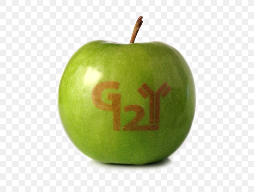 Granny Smith Apple Pie Fruit Stemilt Growers, PNG, 620x620px, Granny Smith, Advertising, Apple, Apple Pie, Apple Sauce Download Free