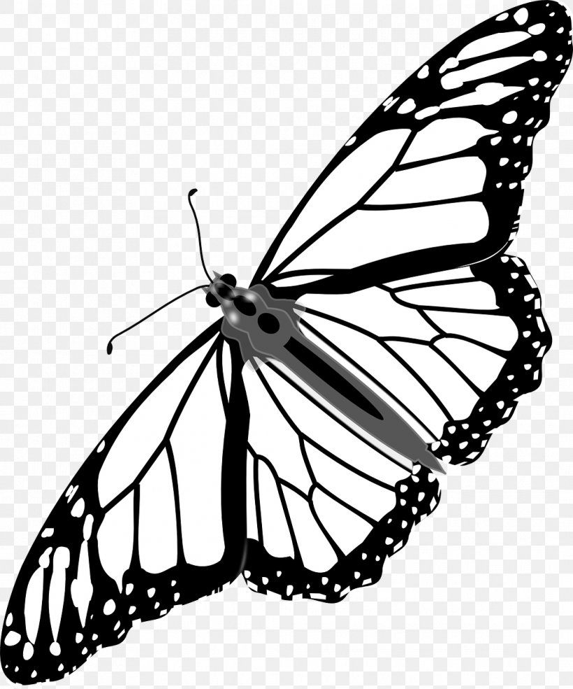 Monarch Butterfly Clip Art Drawing Line Art, PNG, 1065x1280px, Butterfly, Arthropod, Bicycle Wheel, Black And White, Brush Footed Butterfly Download Free