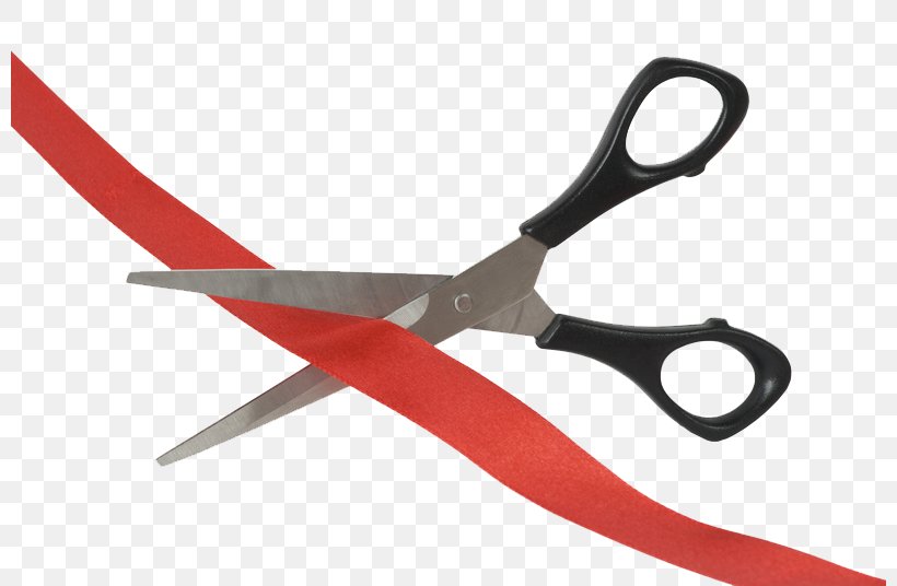 Scissors Fleming Island Cutting Nipper, PNG, 800x536px, Scissors, Cutting, Cutting Tool, Diagonal Pliers, Fleming Island Download Free