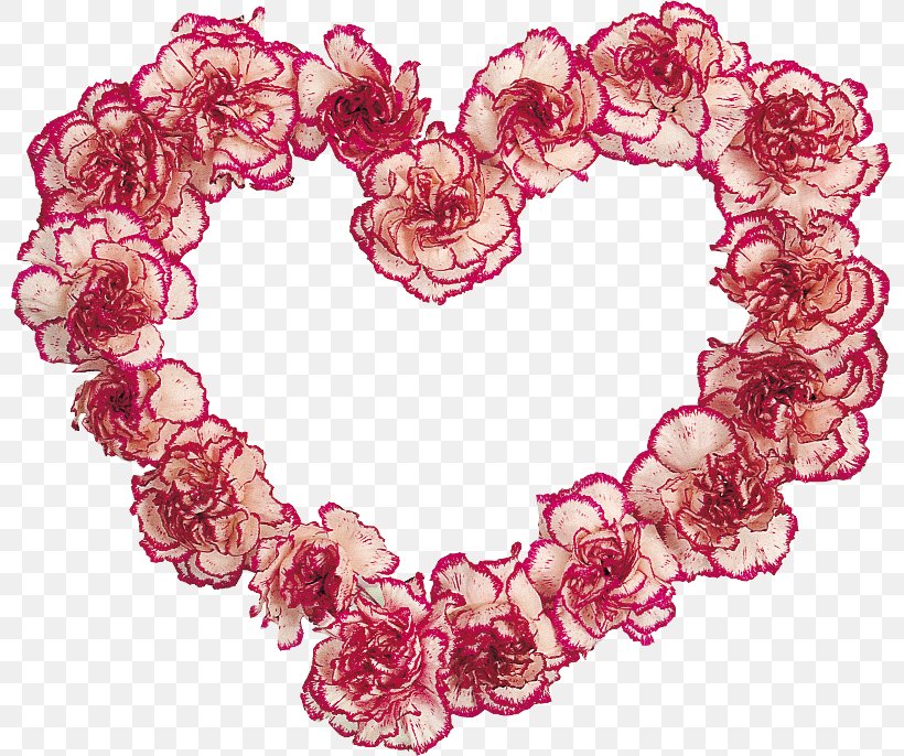 Carnation Image Cut Flowers, PNG, 800x686px, Carnation, Art, Cut Flowers, Fashion Accessory, Flower Download Free