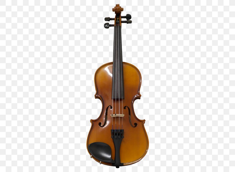 Cello Violin Viola String Instruments Musical Instruments, PNG, 600x600px, Cello, Antonio Stradivari, Bass Violin, Bow, Bowed String Instrument Download Free