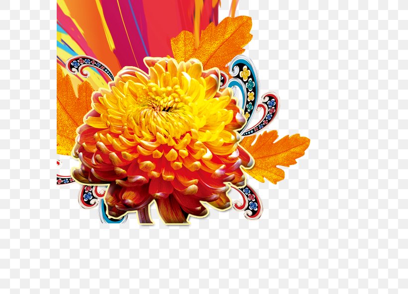 Double Ninth Festival, PNG, 591x591px, Double Ninth Festival, Autumn, Chrysanthemum, Chrysanths, Cut Flowers Download Free