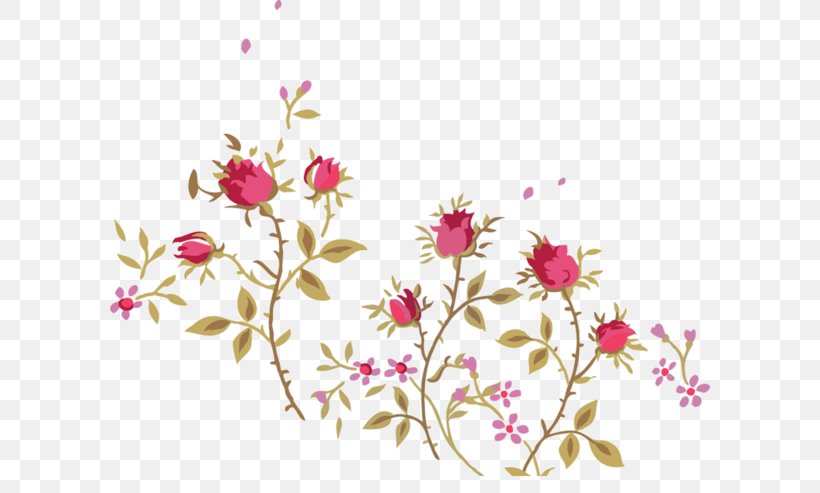 Floral Design Thorns, Spines, And Prickles Beach Rose Flower, PNG, 600x493px, Floral Design, Beach Rose, Blossom, Branch, Cherry Blossom Download Free