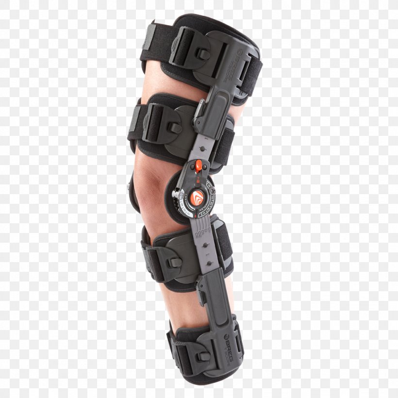 Knee Surgery Bone Fracture Osteoarthritis Breg, Inc., PNG, 1024x1024px, Knee, Ankle, Anterior Cruciate Ligament, Arm, Bone Fracture Download Free