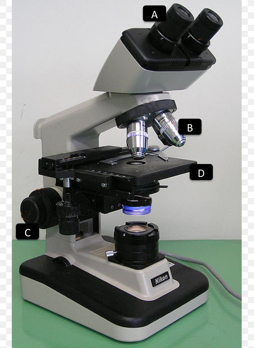 Light Optical Microscope Optics Magnification, PNG, 743x1125px, Light, Electron Microscope, Lens, Magnification, Microscope Download Free