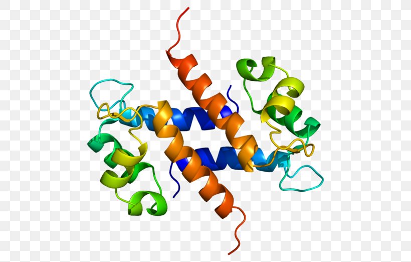 S100A8 Calcium-binding Protein S100A9 S100 Protein, PNG, 500x522px, Protein, Animal Figure, Area, Artwork, Binding Protein Download Free