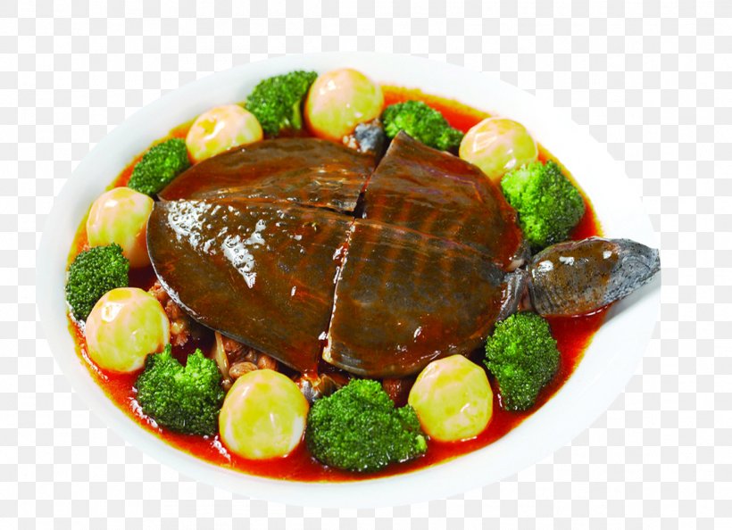 Trionychidae Chinese Softshell Turtle Eating Food Meat, PNG, 1147x831px, Trionychidae, Animal Source Foods, Apparato Digerente, Chinese Softshell Turtle, Cooking Download Free