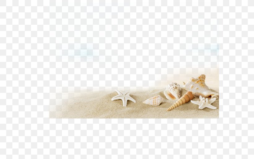 Beach Sunscreen Villa Seashell, PNG, 595x514px, Beach, Art, Bastidor, Beige, Blejtram Download Free