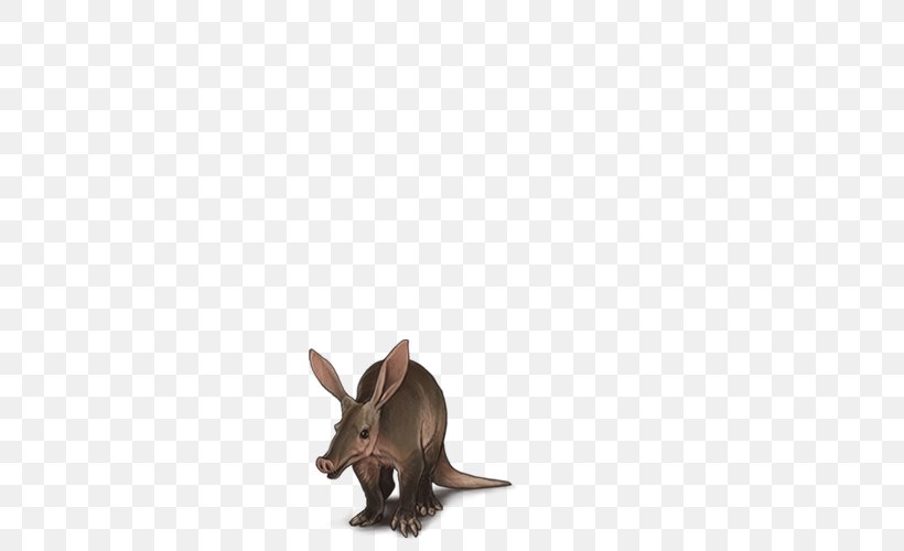 Domestic Rabbit Rat Macropods Fauna Rabbit, Inc., PNG, 640x500px, Domestic Rabbit, Animal, Fauna, Hare, Macropodidae Download Free