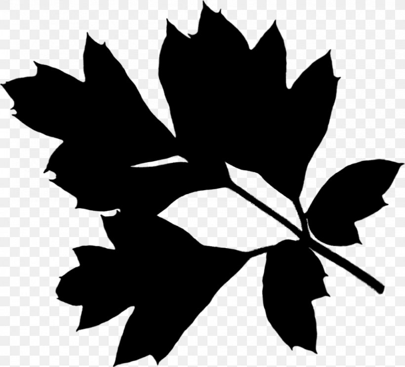 Maple Leaf Black & White, PNG, 1024x928px, Maple Leaf, Black, Black M, Black White M, Blackandwhite Download Free