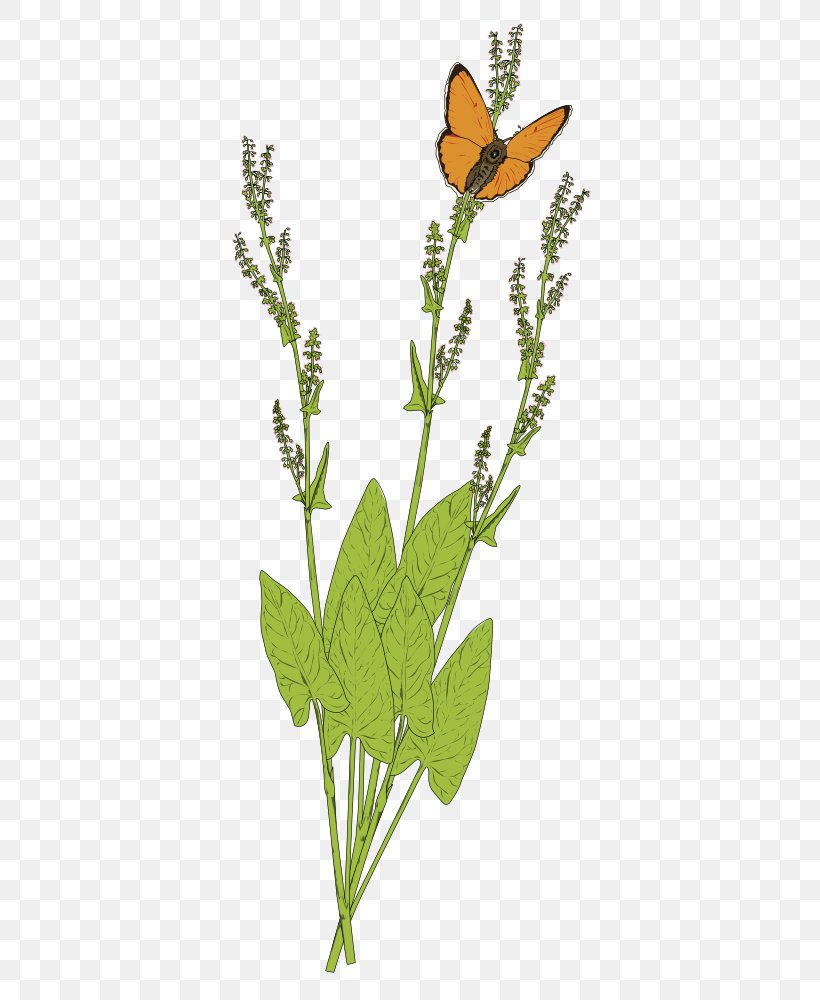 Monarch Butterfly Papillon Dog Brush-footed Butterflies Clip Art, PNG, 411x1000px, Monarch Butterfly, Brush Footed Butterfly, Brushfooted Butterflies, Butterflies And Moths, Butterfly Download Free