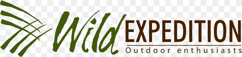 New Testament The Bible Experience Logo Grasses Brand, PNG, 3850x910px, New Testament, Brand, Commodity, Expeditionary Learning Schools, Grass Download Free