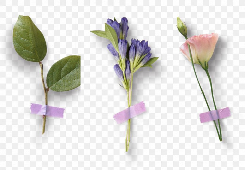 Petal Flower Purple, PNG, 1007x700px, Petal, Artificial Flower, Cut Flowers, Designer, Flora Download Free