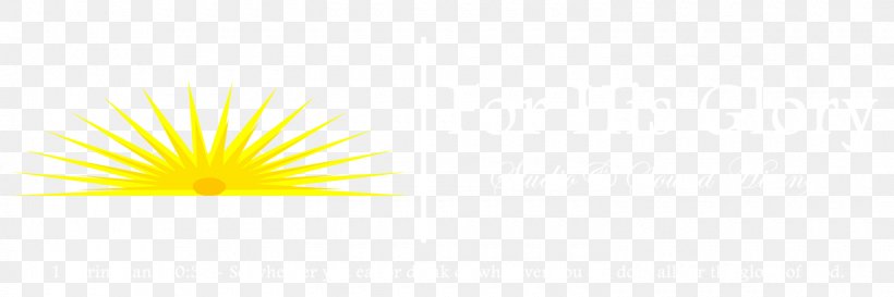 Petal Flower Yellow Desktop Wallpaper Sky, PNG, 1500x500px, Petal, Closeup, Computer, Flower, Sky Download Free