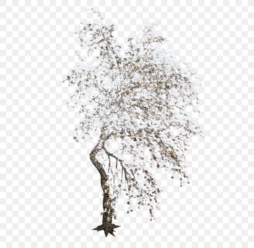 Tree Winter Clip Art, PNG, 544x800px, Tree, Black And White, Branch, Cherry Blossom, Flower Download Free