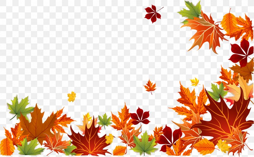 Autumn Leaf Color Autumn Leaf Color Euclidean Vector, PNG, 1371x847px, Autumn, Animation, Autumn Leaf Color, Color, Flora Download Free