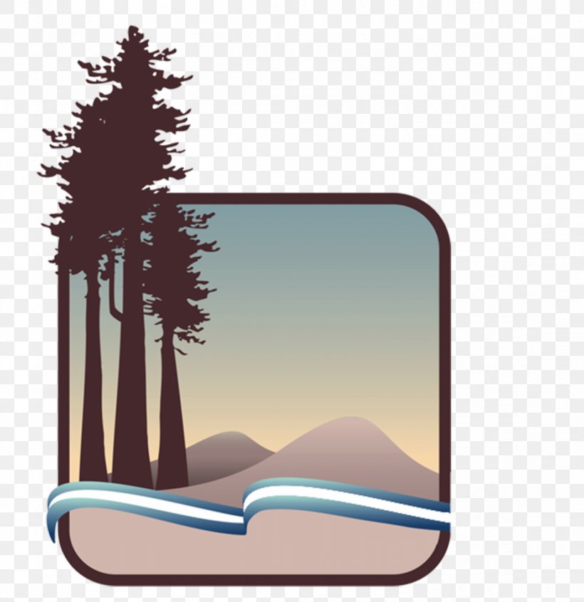 Redwood National And State Parks Crescent City Save-the-Redwoods League California Department Of Parks And Recreation, PNG, 1163x1200px, Redwood National And State Parks, California, Coast Redwood, Crescent City, Garden Download Free