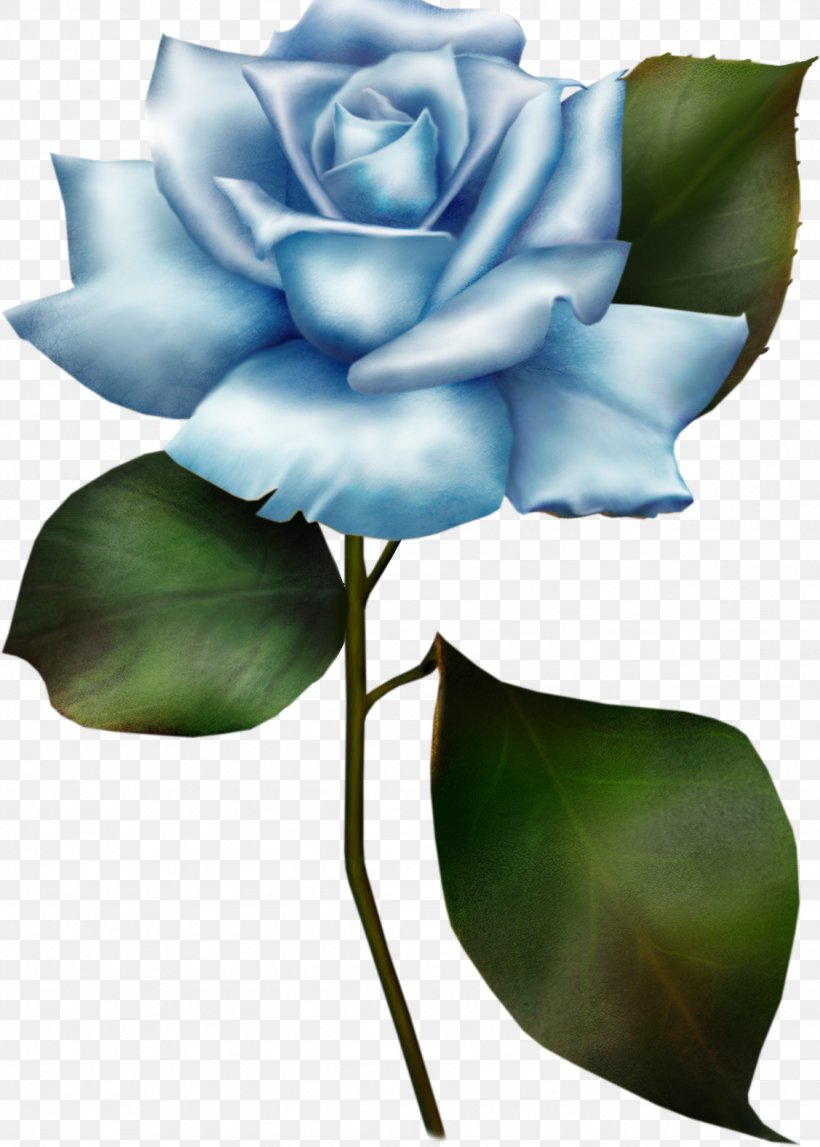 Flower Dress Clip Art, PNG, 1127x1577px, Flower, Blue, Blue Rose, Bud, Cut Flowers Download Free