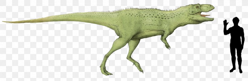 Indosaurus Tyrannosaurus Indosuchus Isisaurus Abelisaurus, PNG, 1280x422px, Indosaurus, Abelisauridae, Abelisaurus, Animal Figure, Carnotaurus Download Free