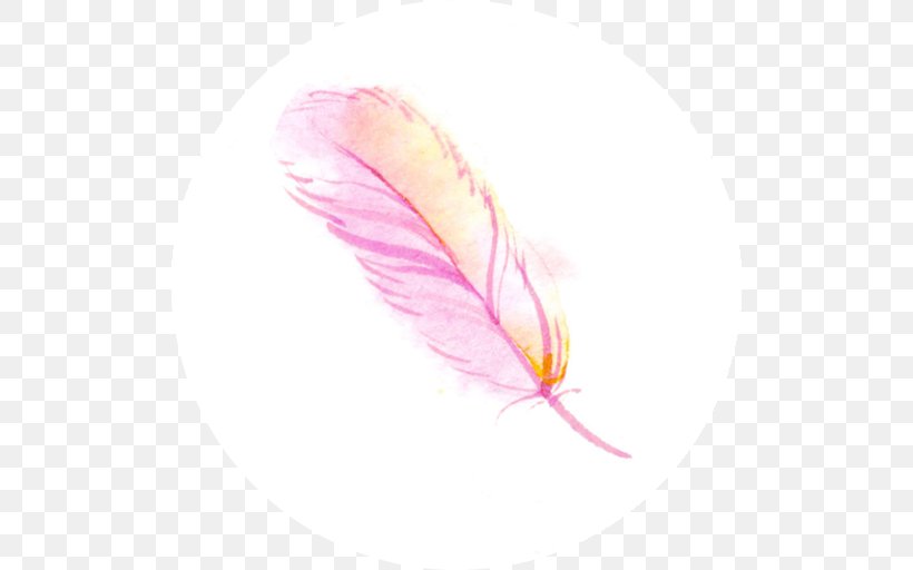 Pink M Feather Close-up, PNG, 512x512px, Pink M, Closeup, Feather, Petal, Pink Download Free