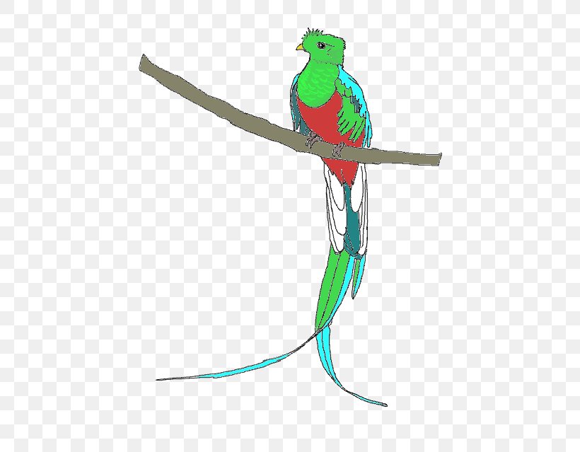 Resplendent Quetzal Clip Art, PNG, 434x639px, Quetzal, Art, Beak, Bird, Cartoon Download Free