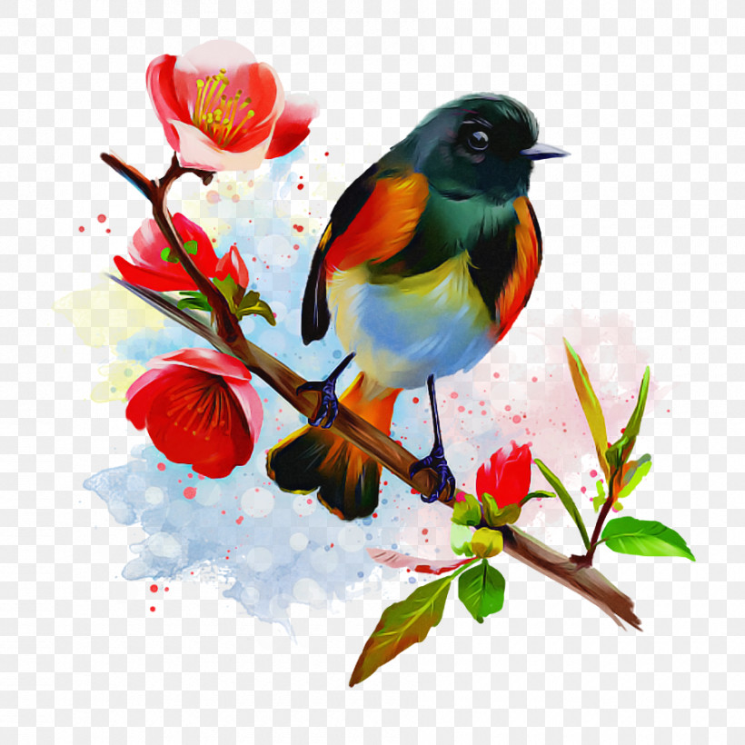 Bird Watercolor Paint Branch Songbird Plant, PNG, 900x900px, Bird, Beak, Branch, European Robin, Flower Download Free