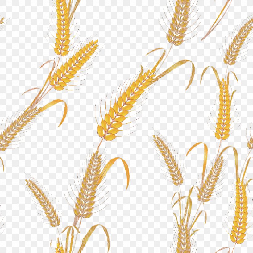 Emmer Motif Pattern, PNG, 833x833px, Emmer, Cereal, Commodity, Drawing, Ear Download Free