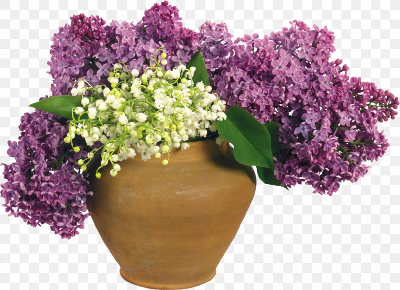 Flowerpot Lilac Clip Art, PNG, 1200x872px, Flower, Annual Plant, Artificial Flower, Collage, Cut Flowers Download Free