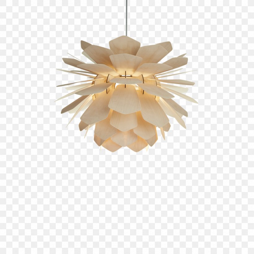 Light Fixture Pendant Light Conifer Cone Lighting, PNG, 1100x1100px, Light, Ceiling Fixture, Christmas Ornament, Cone, Conifer Cone Download Free