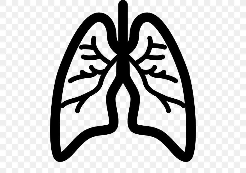 diagnosis of exacerbation of copd