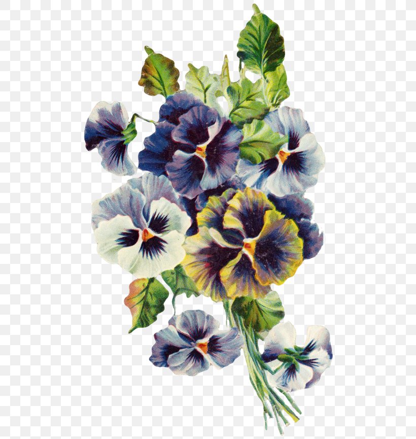 Pansy Violet Viola Mandshurica Watercolor Painting, PNG, 500x865px, Pansy, Annual Plant, Art, Floral Design, Flower Download Free