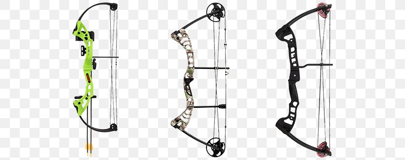 Compound Bows Bow And Arrow Bear Archery, PNG, 800x325px, Compound Bows, Archery, Bear Archery, Bow, Bow And Arrow Download Free