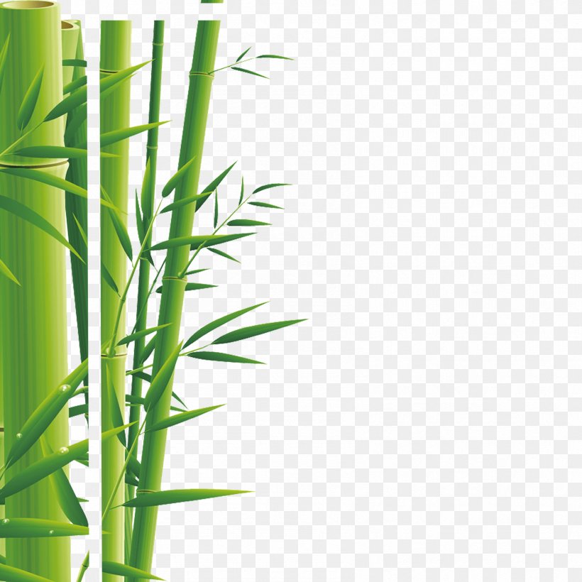 Zongzi Bamboo Steamer U7aefu5348 Baozi, PNG, 1701x1701px, Zongzi, Bamboo, Bamboo Steamer, Baozi, Cooking Download Free