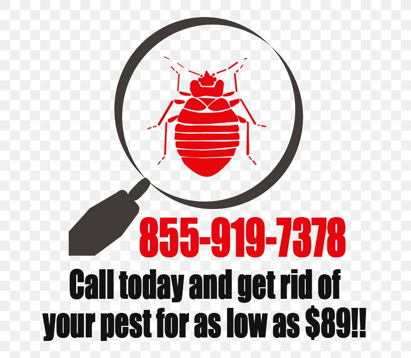 Bed Bug Pest Control Anaheim Marcela R. Font, Lac, PNG, 685x714px, Bed Bug, Anaheim, Area, Brand, California Download Free