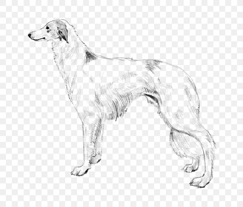 Borzoi Silken Windhound Saluki Whippet American Staghound, PNG, 700x700px, Borzoi, Afghan Hound, American Staghound, Artwork, Black And White Download Free