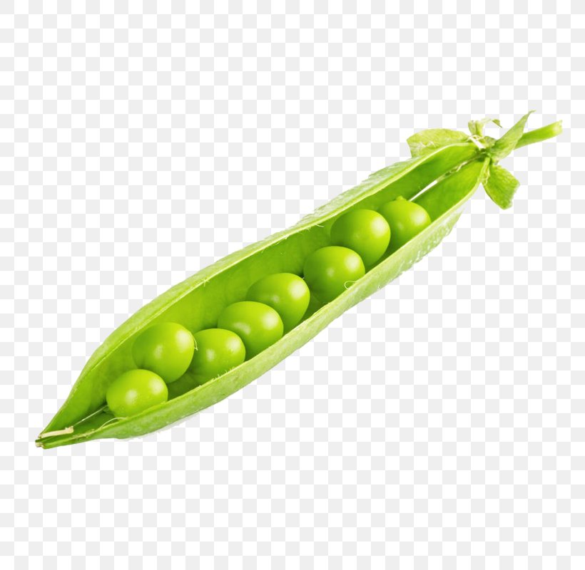 Pea Edamame Bean, PNG, 800x800px, Pea, Banco De Imagens, Bean, Broad Bean, Corn On The Cob Download Free