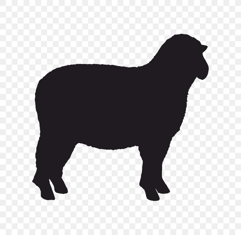 Sheep Sticker Stencil, PNG, 800x800px, Sheep, Bighorn Sheep, Black, Black And White, Cattle Like Mammal Download Free
