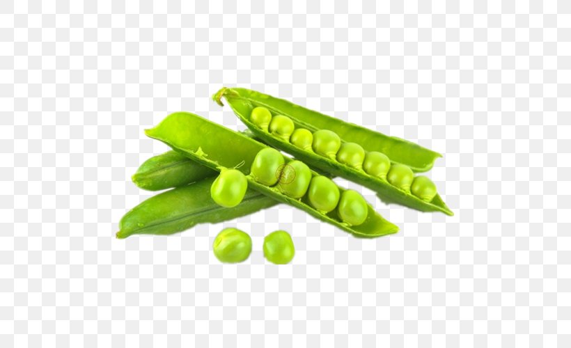 Snap Pea Snow Pea Pigeon Pea Dal Vegetable, PNG, 500x500px, Snap Pea, Bean, Commodity, Dal, Edamame Download Free
