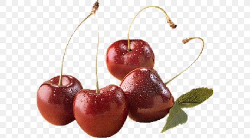 Cherry Cerasus Fruit Clip Art, PNG, 580x452px, Cherry, Auglis, Cerasus, Food, Fruit Download Free