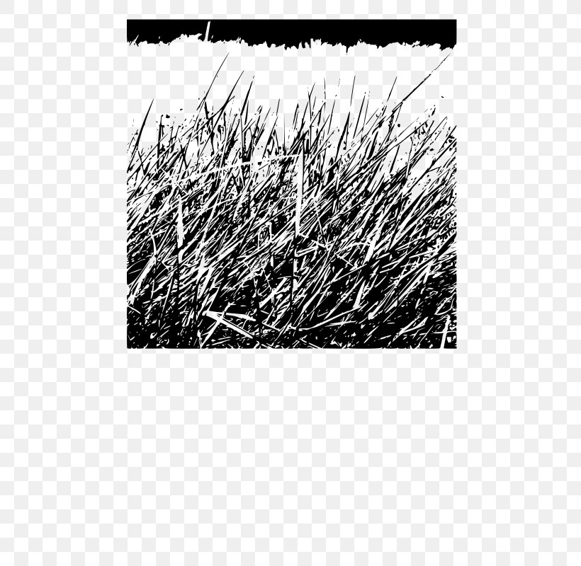 Desktop Wallpaper Clip Art, PNG, 566x800px, Plant, Black And White, Branch, Egg, Grass Download Free