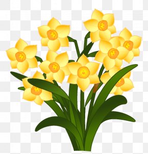 Daffodil Floral Design Cut Flowers Yellow, PNG, 1160x2203px, Daffodil ...