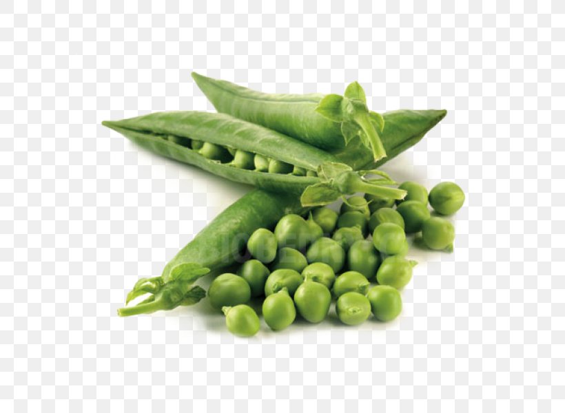 Snap Pea Heirloom Plant Seed Microgreen, PNG, 600x600px, Snap Pea, Bean, Commodity, Edamame, Food Download Free