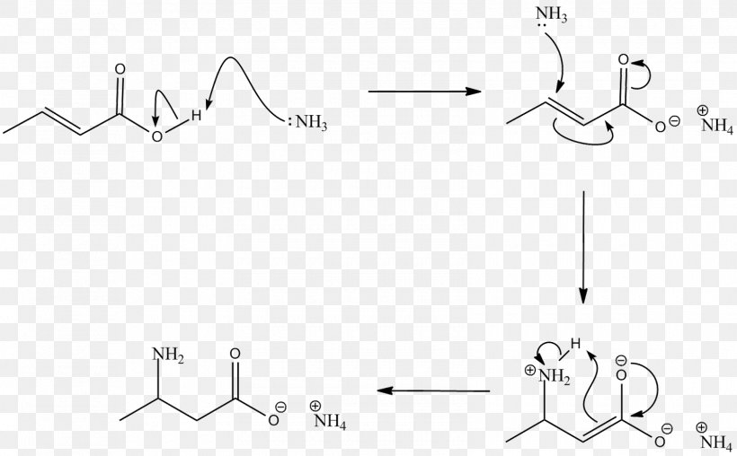 Carboxylic Acid Amine Chemical Reaction Amide, PNG, 1600x992px, Carboxylic Acid, Acid, Amide, Amine, Area Download Free