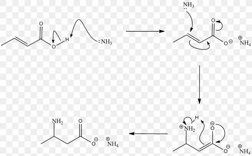 Carboxylic Acid Amine Chemical Reaction Amide, PNG, 1600x992px ...