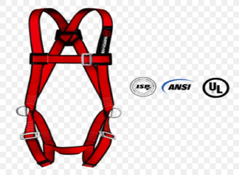 Climbing Harnesses Carabiner Positioning Electricity, PNG, 800x600px, Climbing Harnesses, Acero Forjado, Area, Carabiner, Climbing Download Free