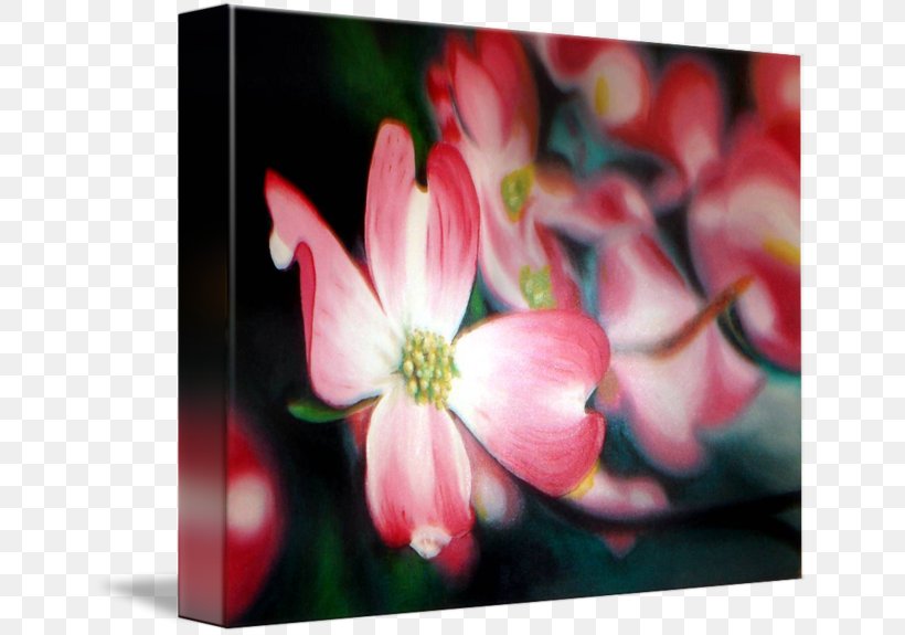 Gallery Wrap Canvas Painting Art Close-up, PNG, 650x575px, Gallery Wrap, Art, Blossom, Canvas, Closeup Download Free