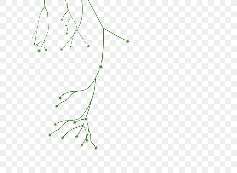 Twig Plant Stem Line, PNG, 600x600px, Twig, Branch, Flora, Flower, Grass Download Free