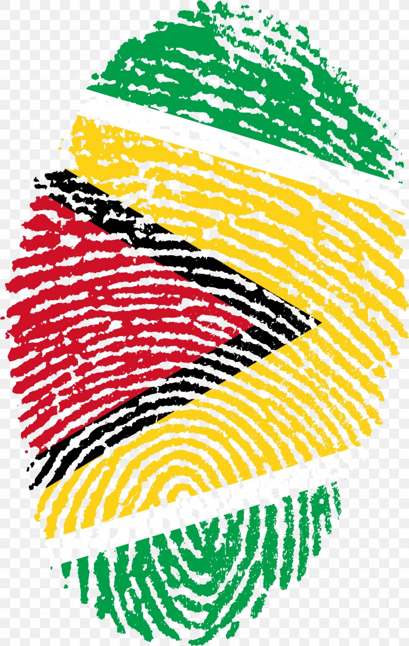 Flag Of Guyana National Flag Flag Of Morocco Flag Of Malawi, PNG, 1573x2488px, Flag Of Guyana, Area, Fingerprint, Flag, Flag Of Colombia Download Free