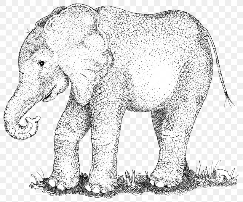 Indian Elephant African Elephant Wildlife Line Art Sketch, PNG, 1024x854px, Indian Elephant, African Elephant, Animal, Animal Figure, Artwork Download Free